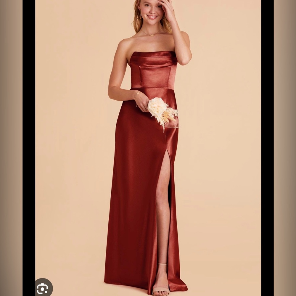 Birdy Grey Mia Satin Dress in Rust